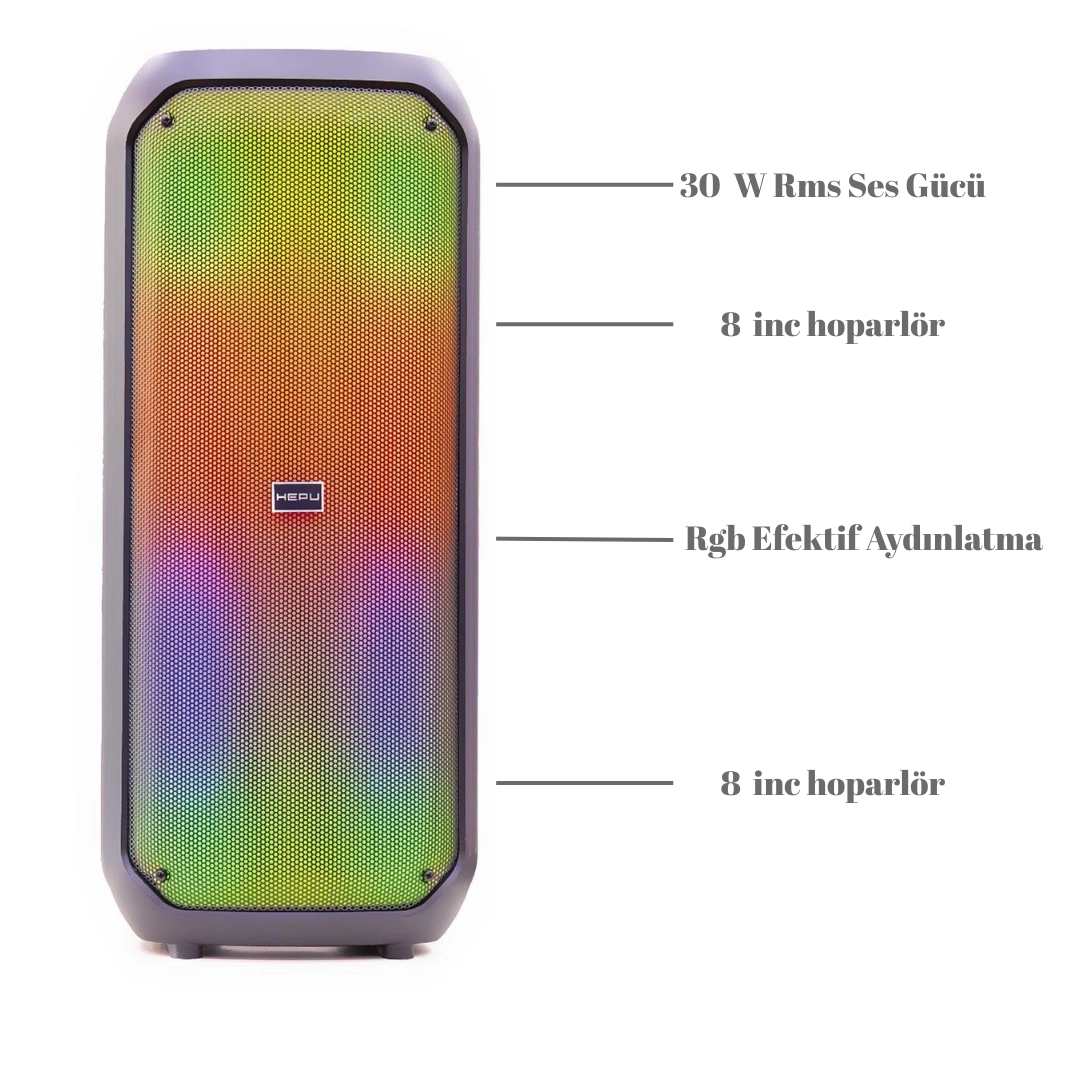 HP 106 Bluetooth Hoparlör 2*8 inc 30 w Rms Rgb Efektif Kablosuz Karaoke Mikrofon TWS