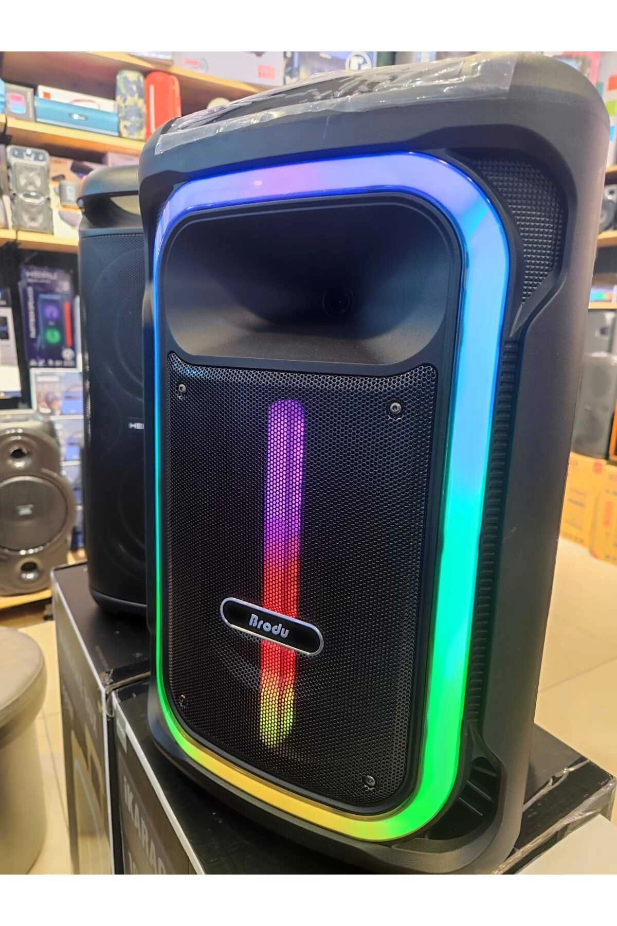 Bts 1928 Taşınabilir  Şarjlı 12 inc 100 w Karaoke Amfi Bluetooth Parti Hoparlörü