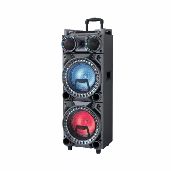 HEPU HP-996 Tekerlekli Party Hoparlör – 2 x 10” Woofer, 40W Güç, RGB Işık, 2 Kablosuz Mikrofon + Kumanda