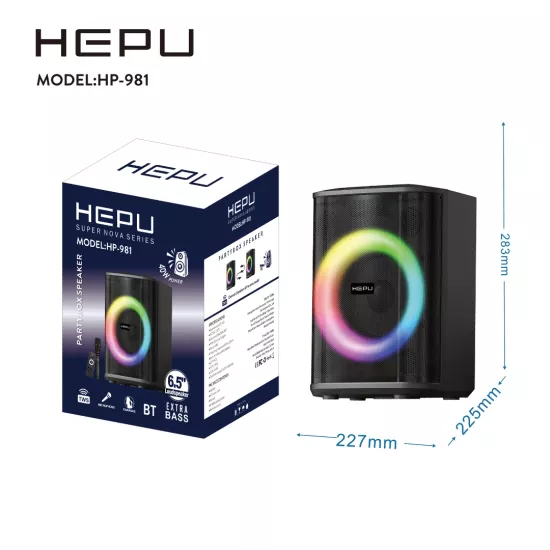 HEPU HP-981 Karaoke Bluetooth Speaker 6.5” Woofer 