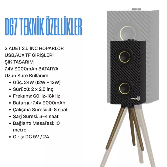 Torima D67 Bluetooth Hoparlör 24W | Ahşap Kasa